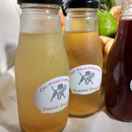 清邁 Cat House酒店 外观 照片